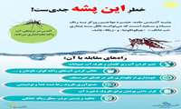 رئیس دانشگاه علوم پزشکی البرز هشدار داد : ضرورت رعایت توصیه های بهداشتی در مقابل پشه آئدس 